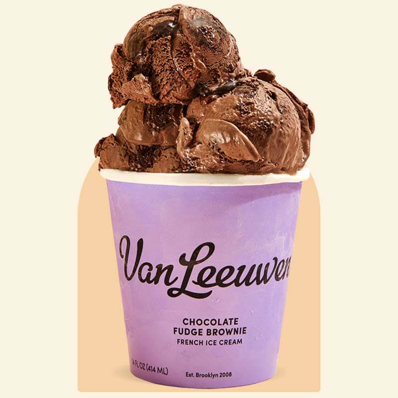 Chocolate Fudge Brownie Van Leeuwen Ice Cream