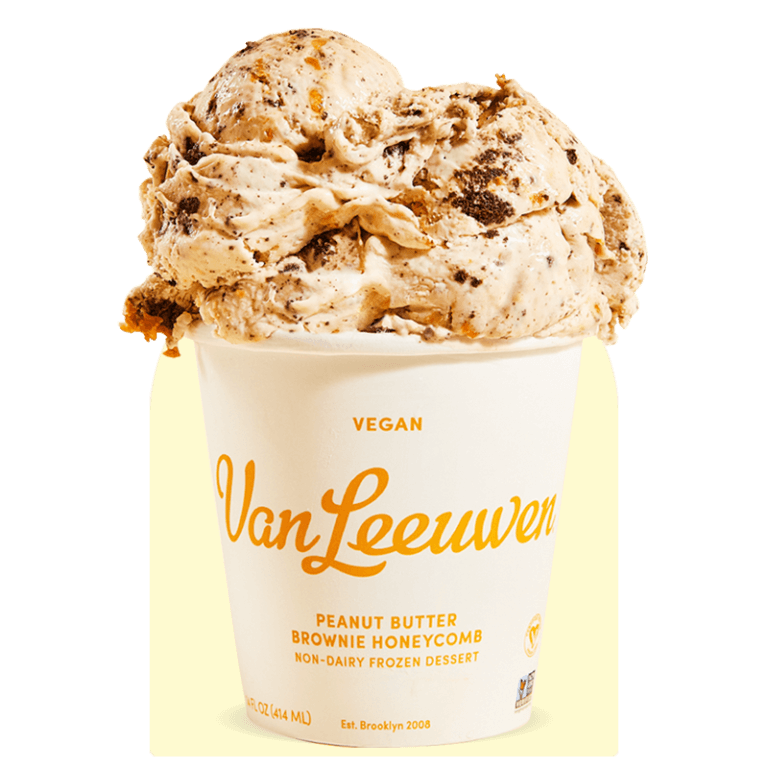 Vegan Peanut Butter Brownie Van Leeuwen Ice Cream