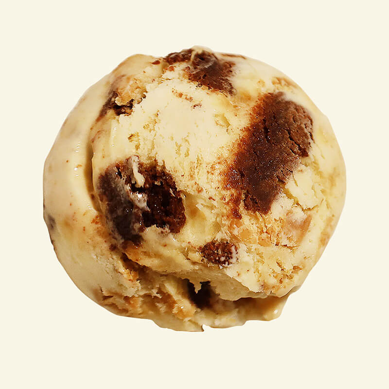 Peanut Butter Brownie Van Leeuwen Ice Cream