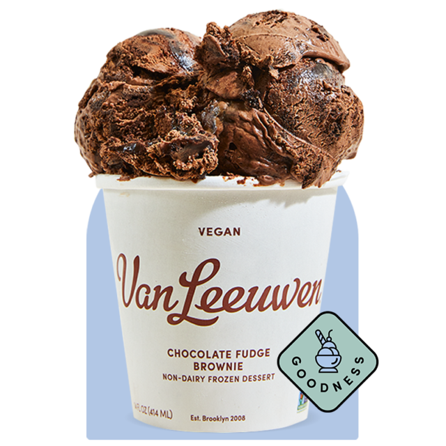 Vegan Chocolate Fudge Brownie Van Leeuwen Ice Cream