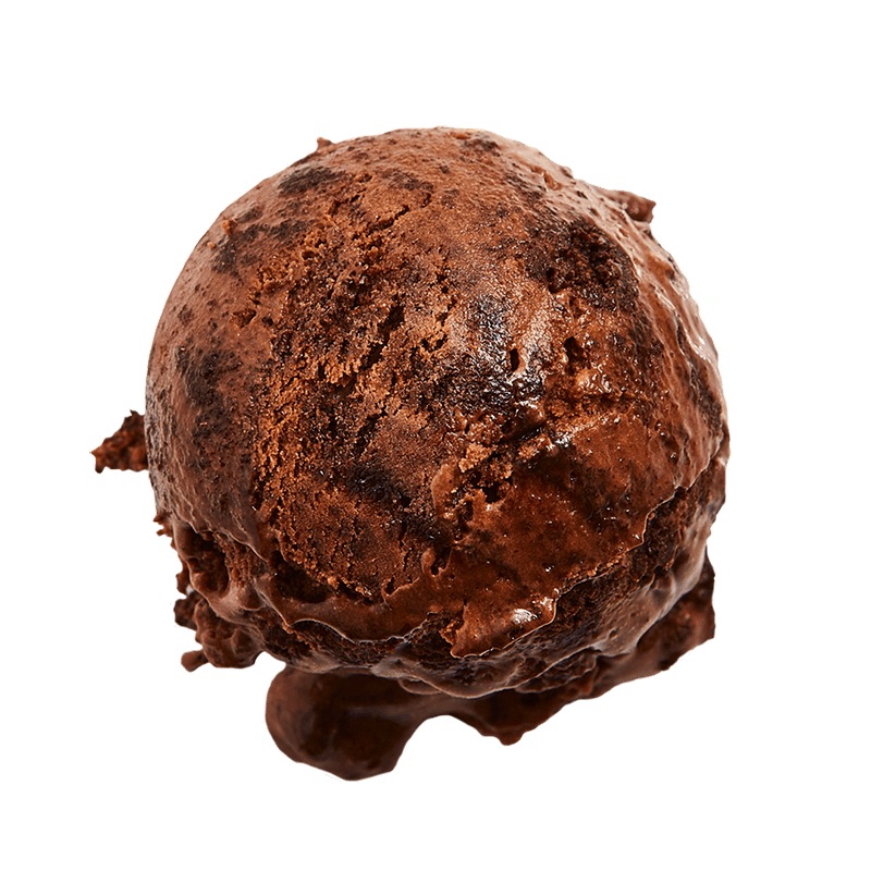 Vegan Chocolate Fudge Brownie Van Leeuwen Ice Cream