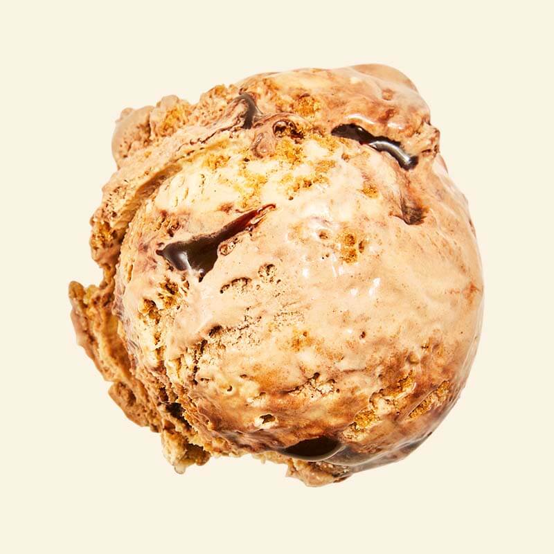 Hazelnut Fudge Cookie Van Leeuwen Ice Cream