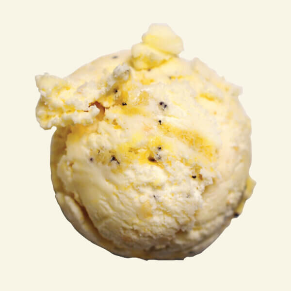 Lemon Poppy Seed Muffin Image 1. 