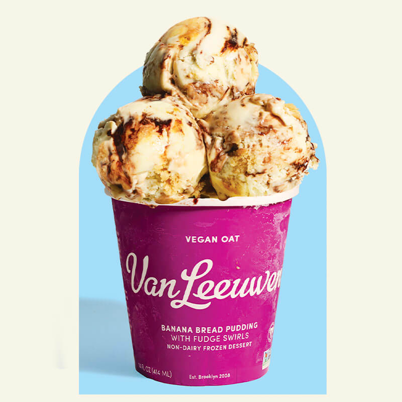 Vegan Ice Cream | Van Leeuwen Ice Cream